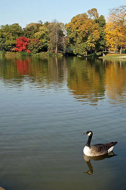 lac Daumesnil en automne