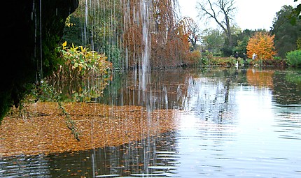 Couleurs d'automne