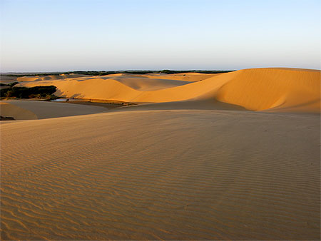 Dunes de Coro : los Médanos Dunes de Coro : los Médanos