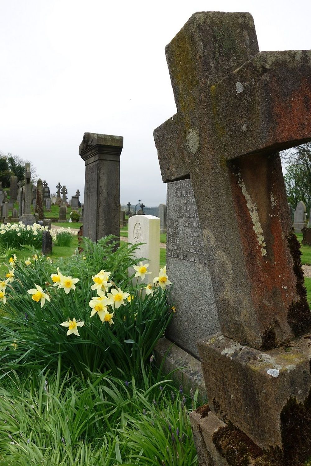 Church of the Holy rude, cemetery