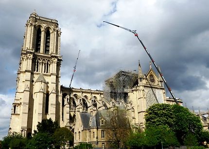 Notre-Dame de Paris "10 jours après"