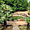 Jardin à Polonnaruwa