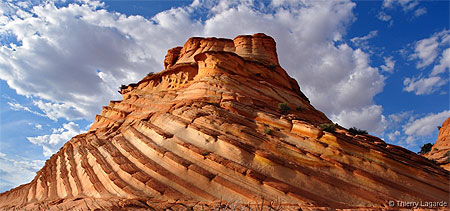 Paw hole: striations Paw hole: striations
