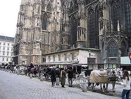 La cathédrale de vienne