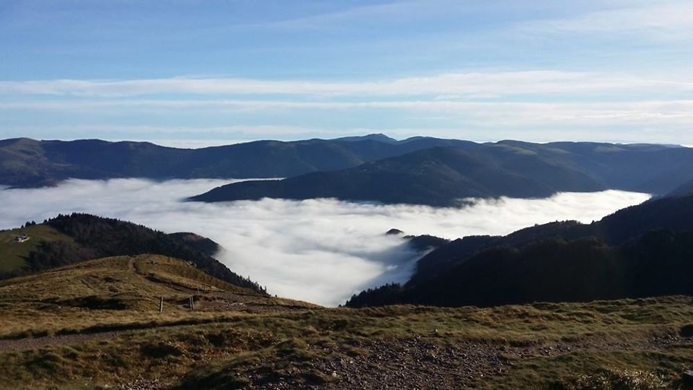 Mer de brume sur l'Alsace