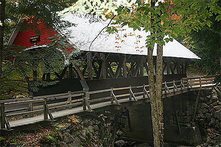 Pont couvert dans le Flume Gorge