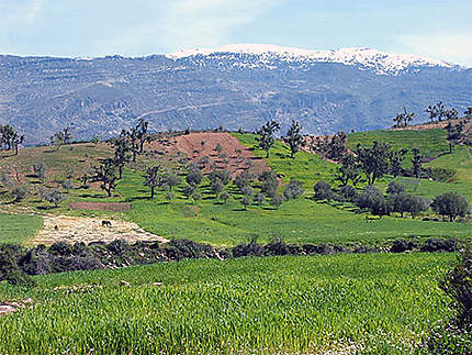 La campagne des montagnes marocaines