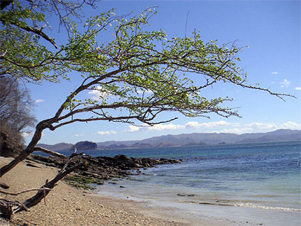 Plage guanacaste