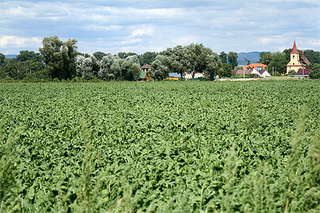 Les environs d'Olomouc Les environs d'Olomouc
