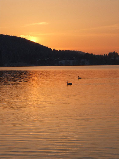 Lac de Gerardmer Lac de Gerardmer