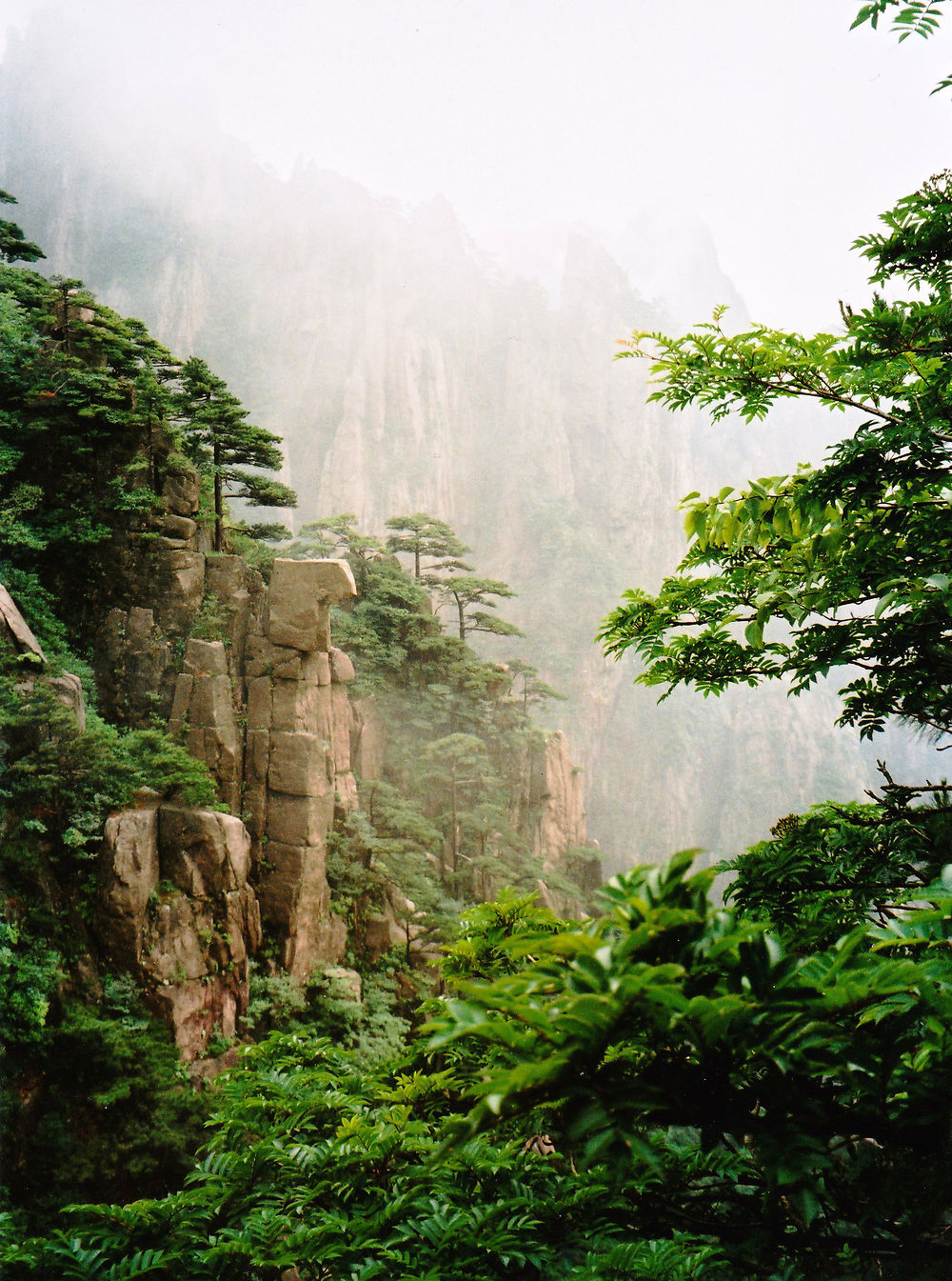 Huang shan monts dans la brume