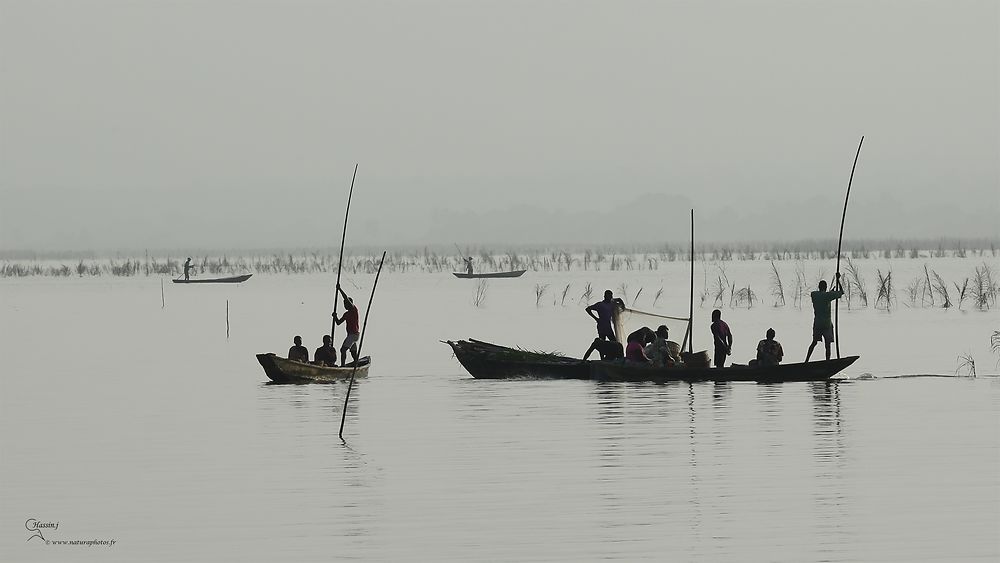 La pêche