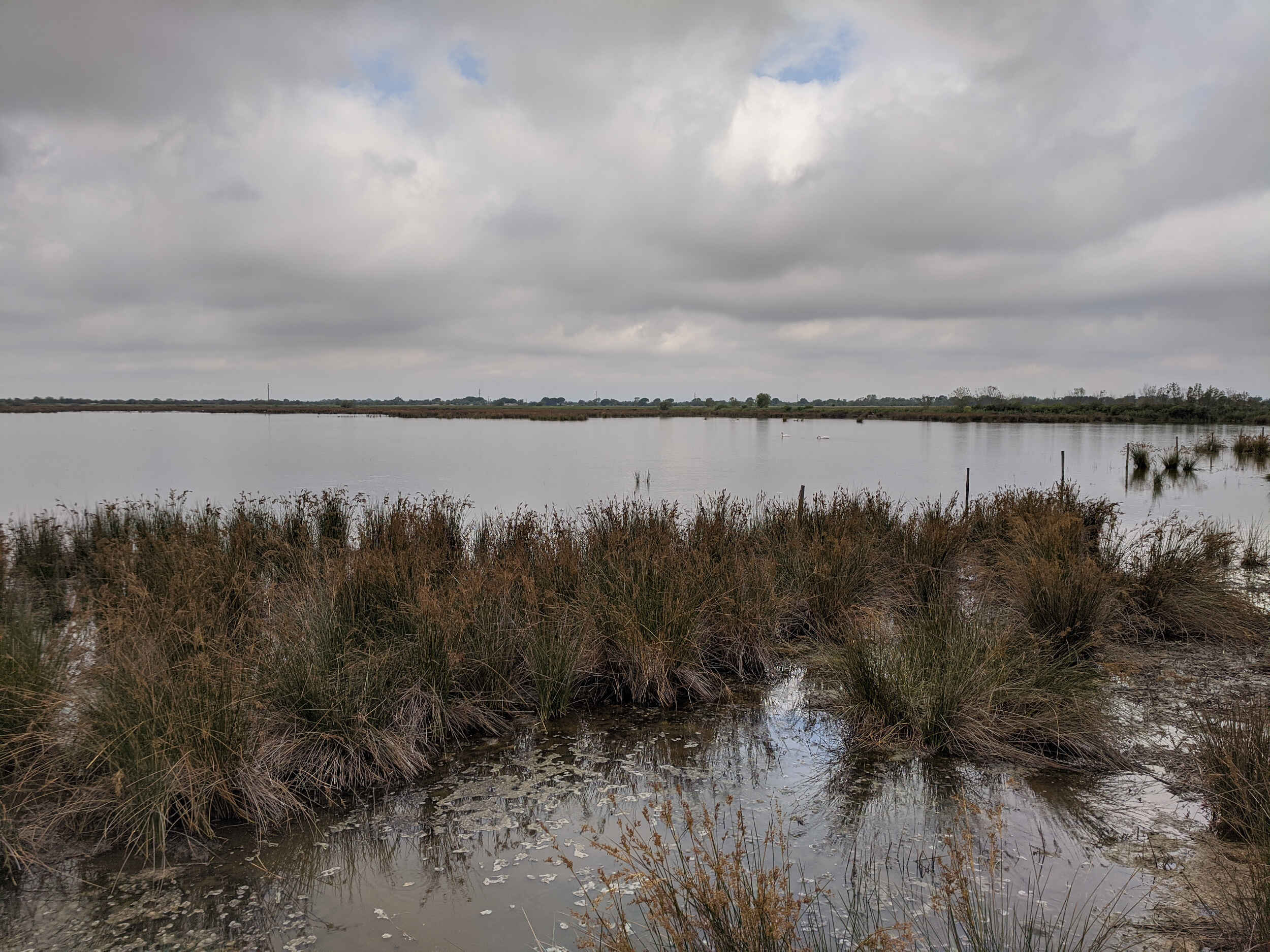 Etangs de Camargue Etangs de Camargue