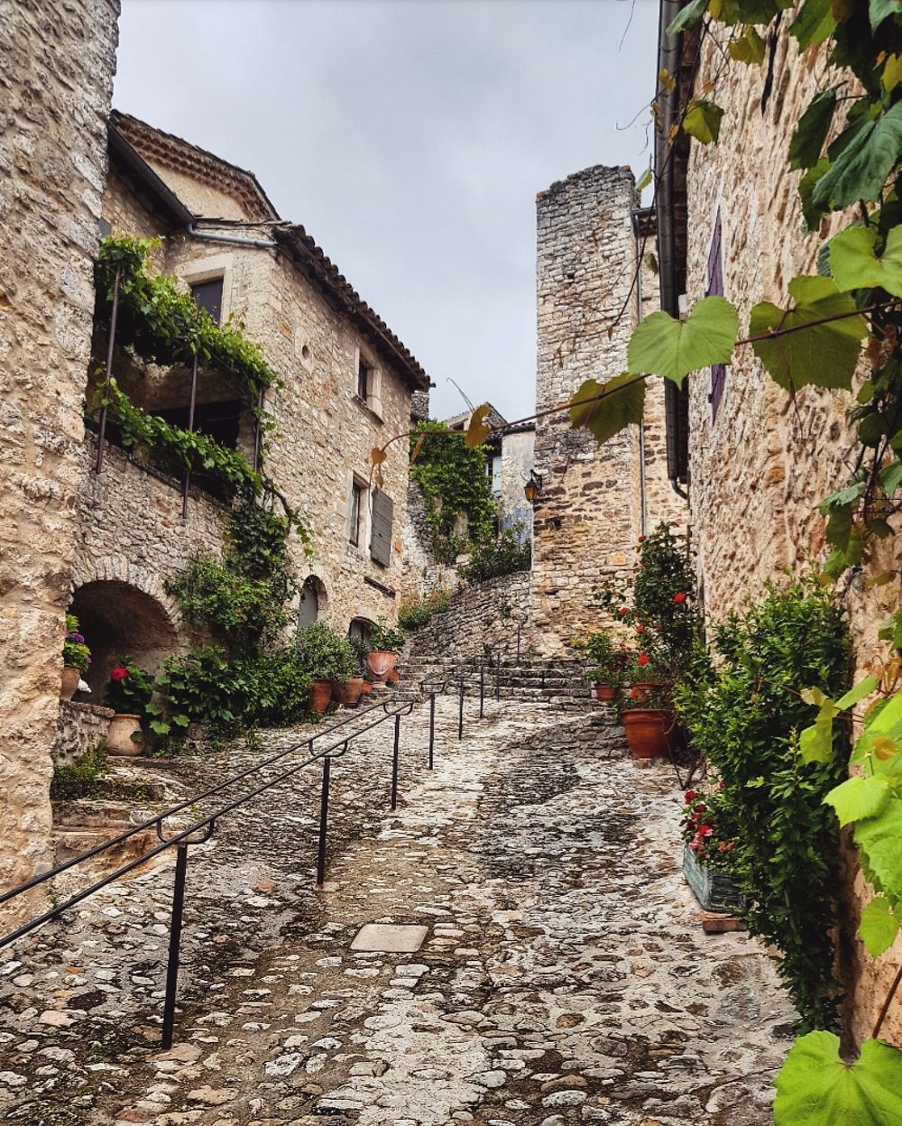 Drôme provençale 