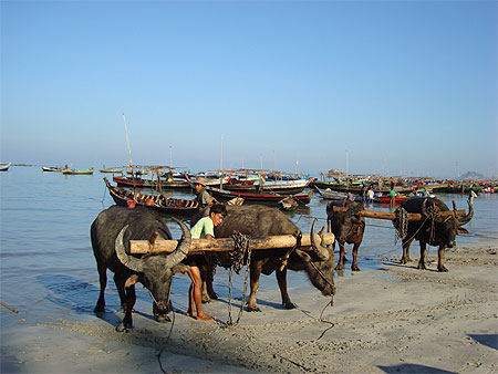 Village de pêcheurs de Ngapali Village de pêcheurs de Ngapali