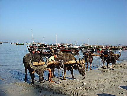 Village de pêcheurs de Ngapali