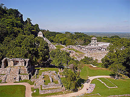 Site de Palenque - vue sur la plaine environnante