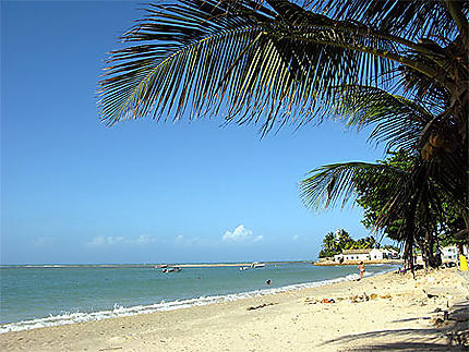 Playa Adicora