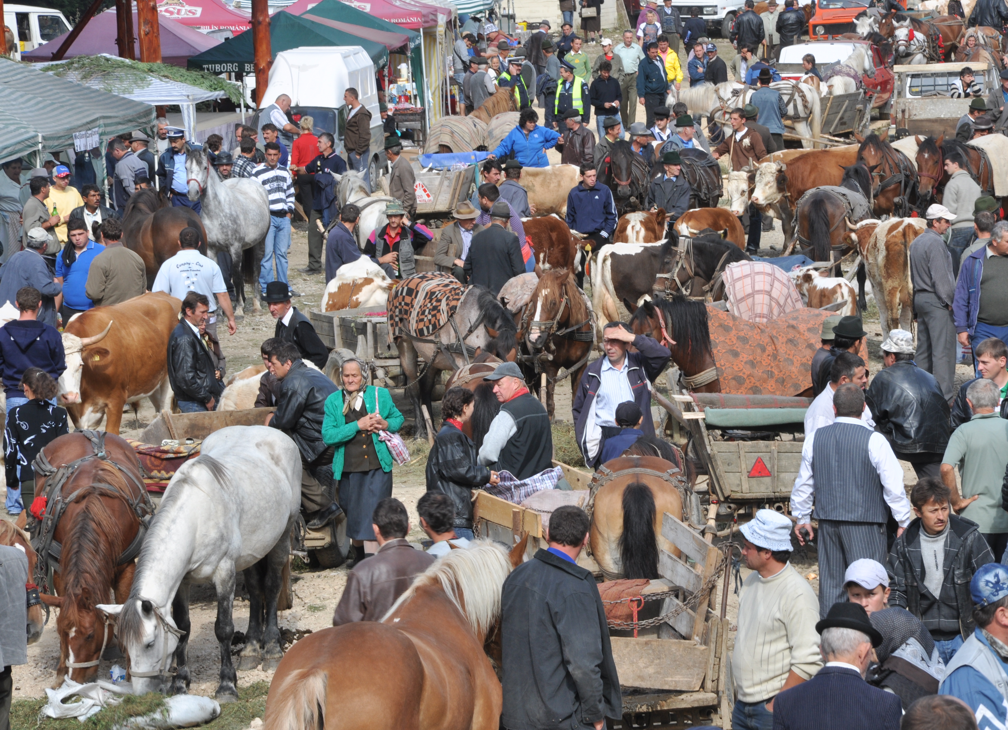 Marché aux bestiaux à Albac en Transylvanie Marché aux bestiaux à Albac en Transylvanie