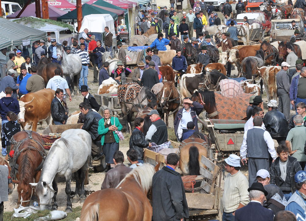 Marché aux bestiaux à Albac en Transylvanie