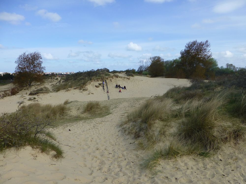 Dunes belges