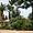 L'Alhambra, les jardins du Partal