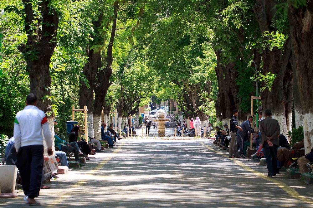 Sétif - Jardin Emir Abdelkader - Allée centrale