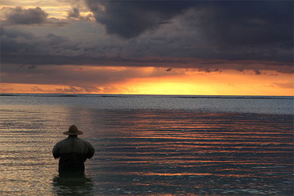 Pêcheur Mauricien