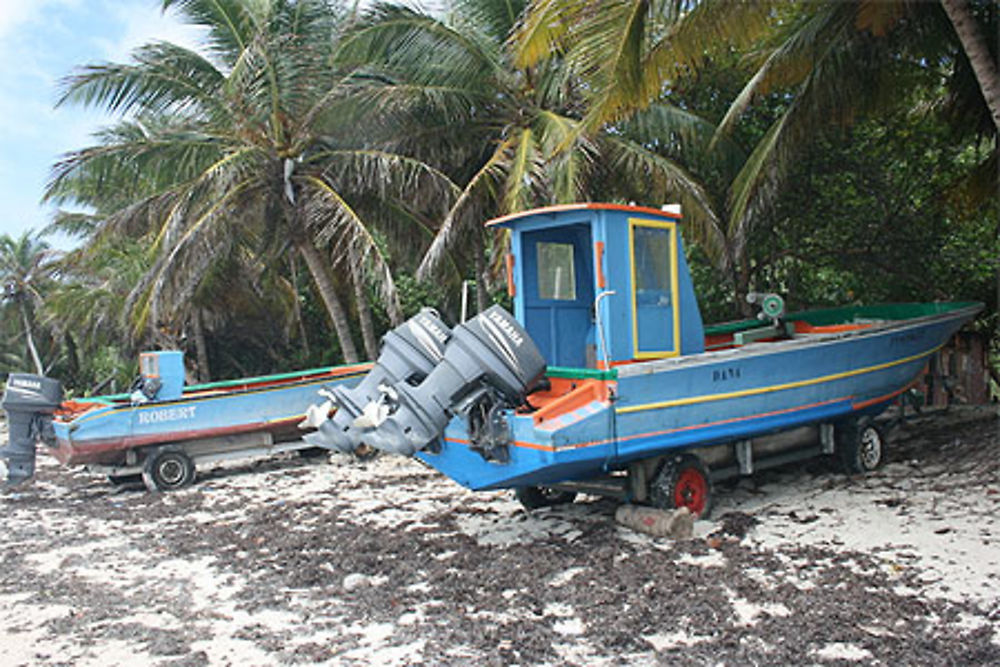 Bateaux de pêche