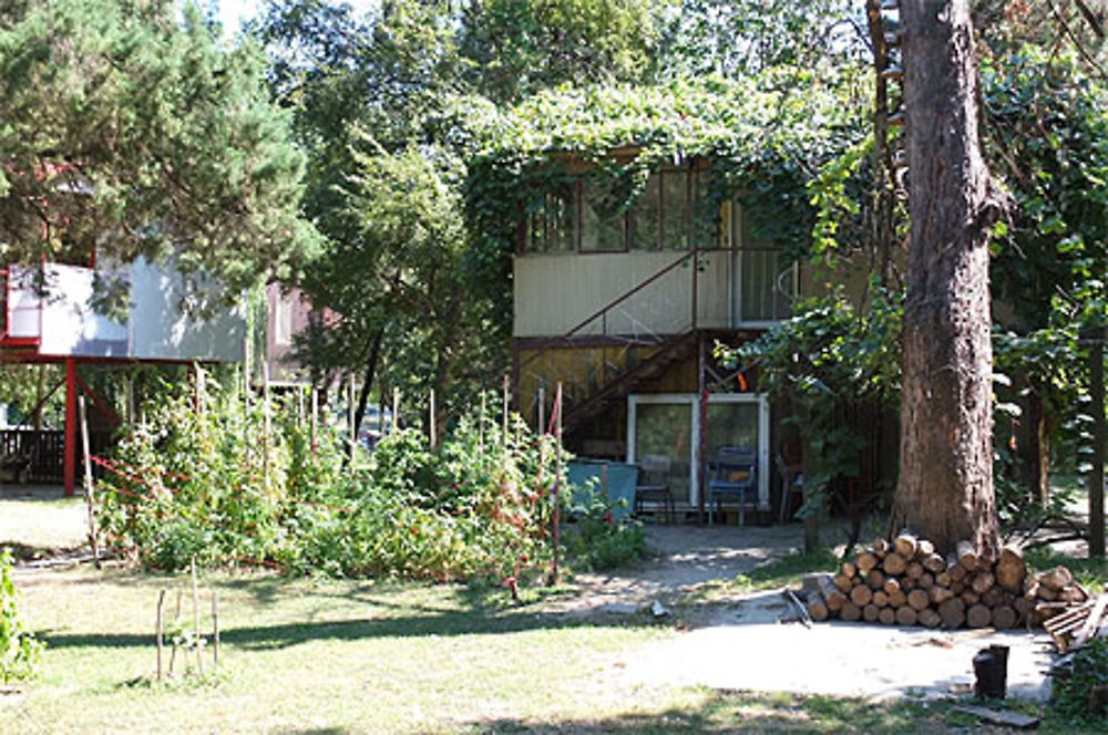 Maison couverte de végétation sur l’île d’Ada Medjica