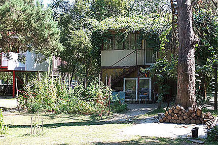 Maison couverte de végétation sur l’île d’Ada Medjica