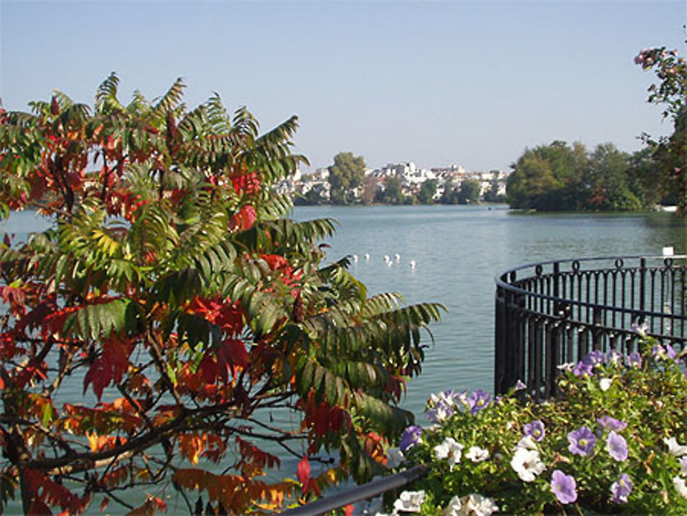 Un après midi d'automne 