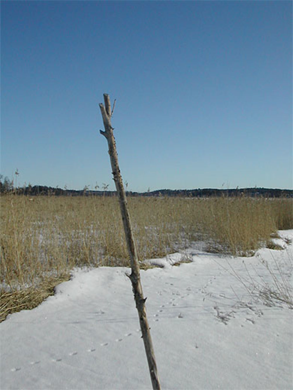 Entre ciel et neige