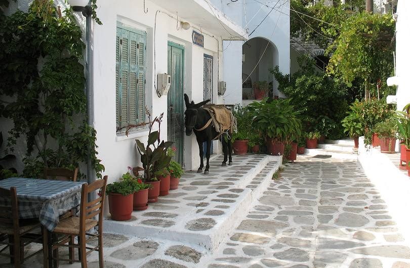 Koronos, Naxos! Un village traditionnel! Koronos, Naxos! Un village traditionnel!