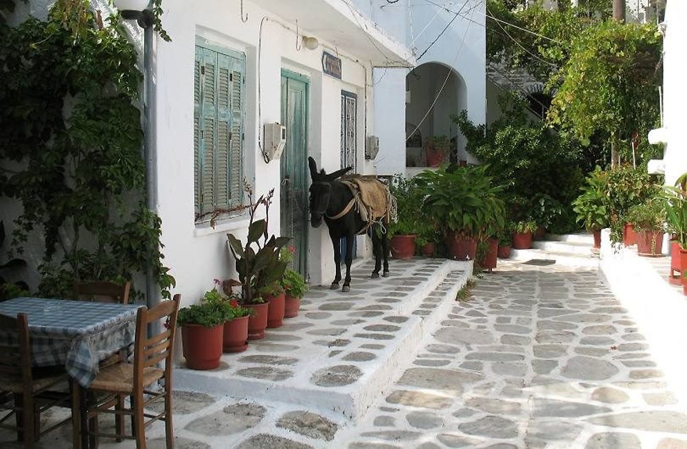 Koronos, Naxos! Un village traditionnel!