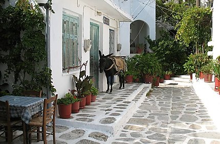 Koronos, Naxos! Un village traditionnel!