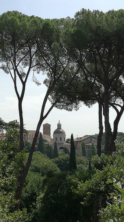 Rome vu depuis le palatin
