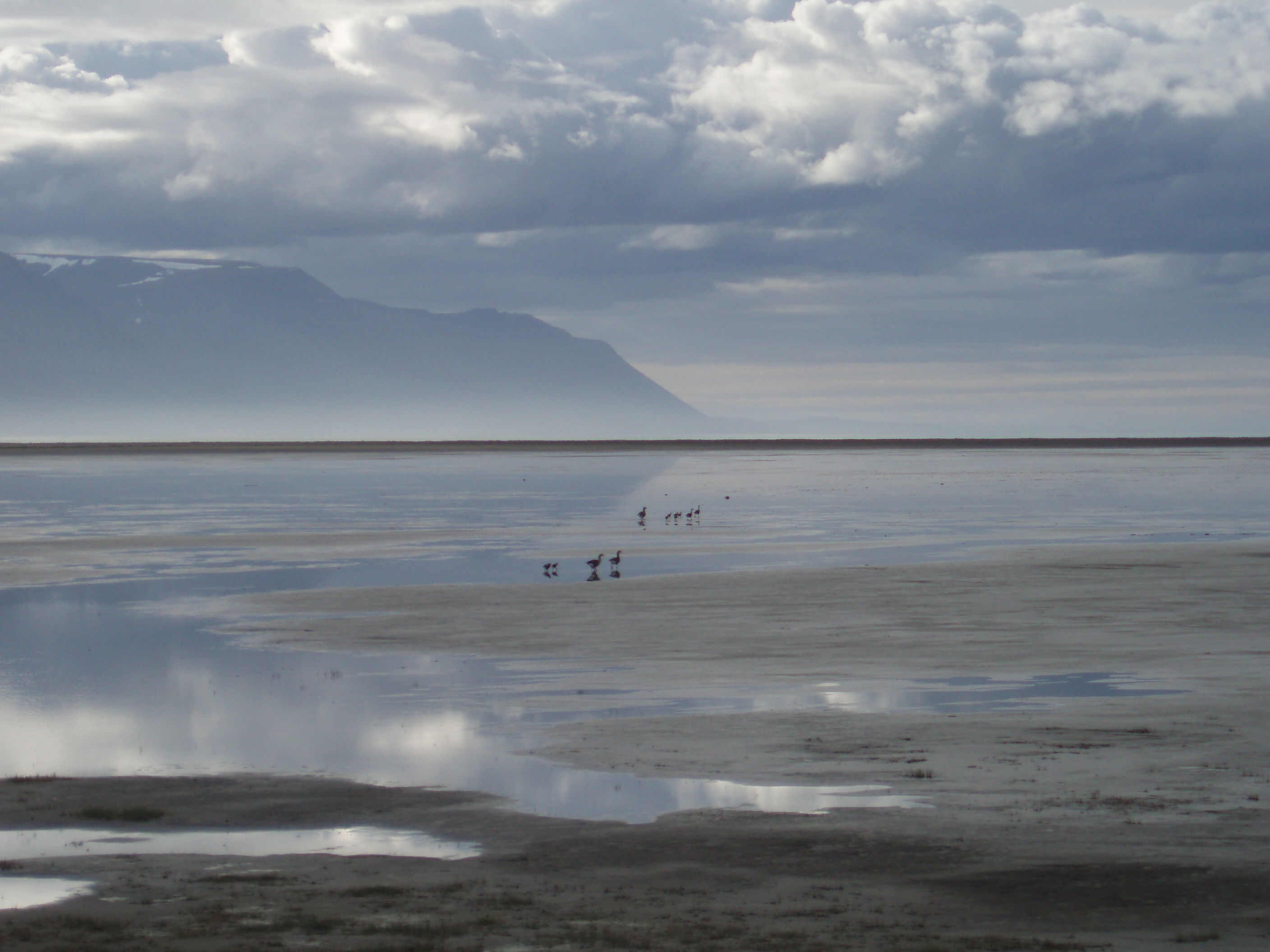 Soirée à marée basse dans le Skagafjörður