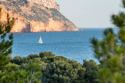 Vue depuis la calanque de Port-Miou