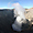 Panorama sur le cratère du Bromo