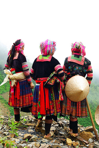Hmong Fleurs sur la route de Sin Ho Hmong Fleurs sur la route de Sin Ho