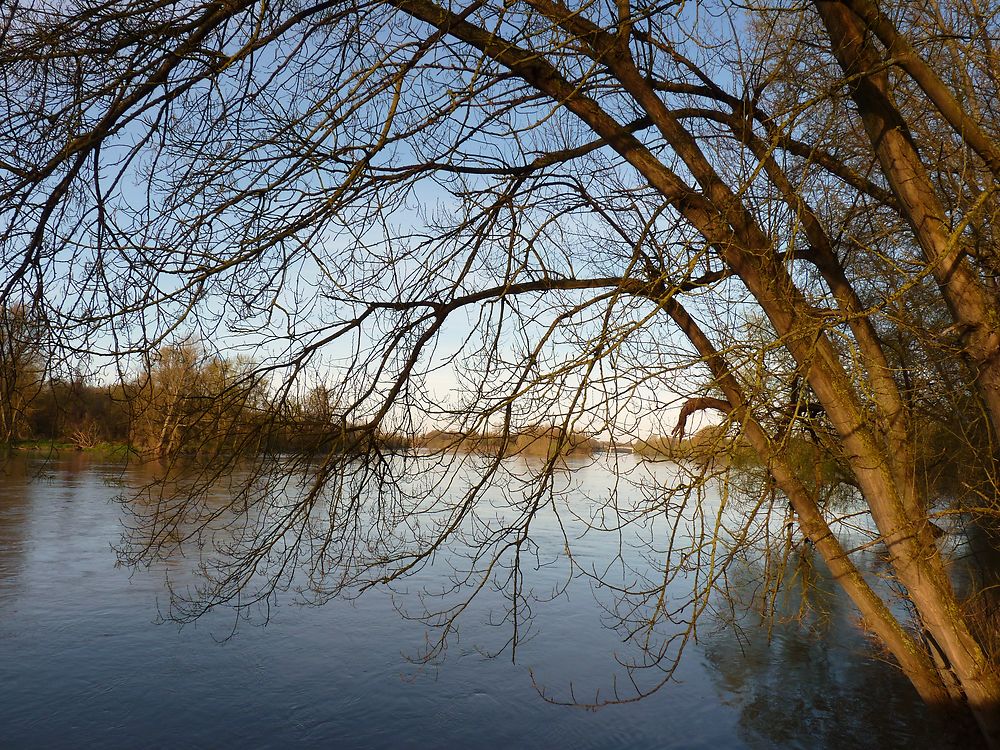 Loire rochecorbon