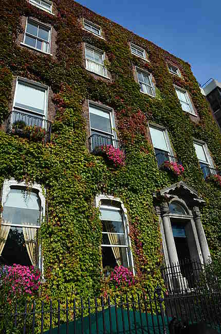 Appartements fleuris à Dublin