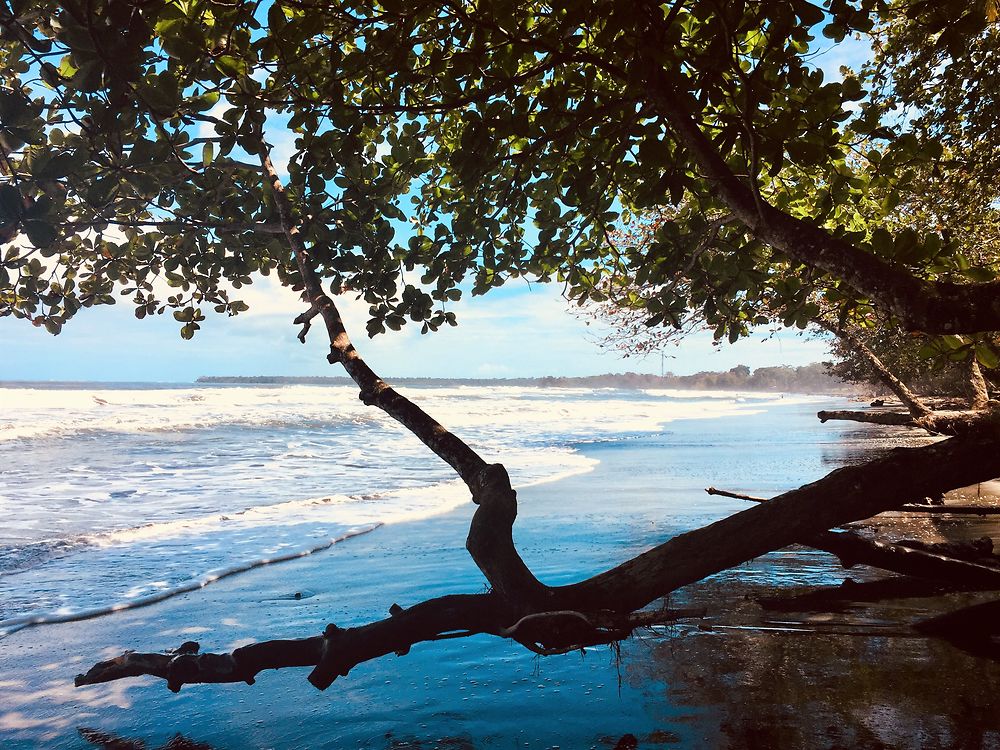 Playa Negra - Cahuita