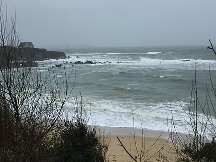 Vent fort et pluie en début mars sur le Finistère