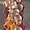 Jeunes moines du Palyul