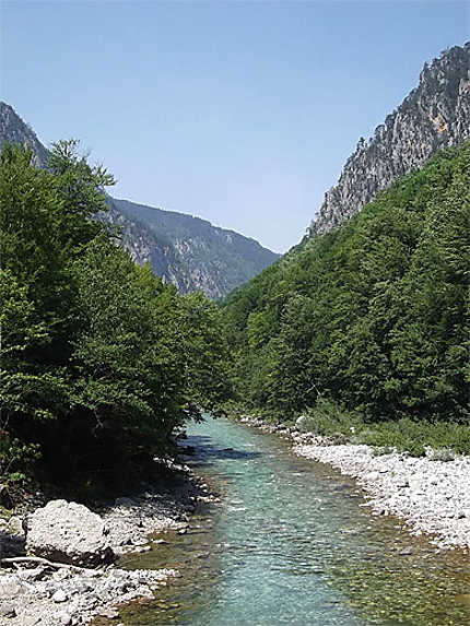 Rivière Tara à Dobrilovina