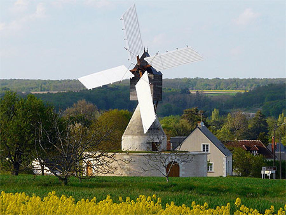 Toutes ailes déployées