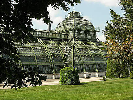 Serres du Jardin de Schönbrunn Vienne