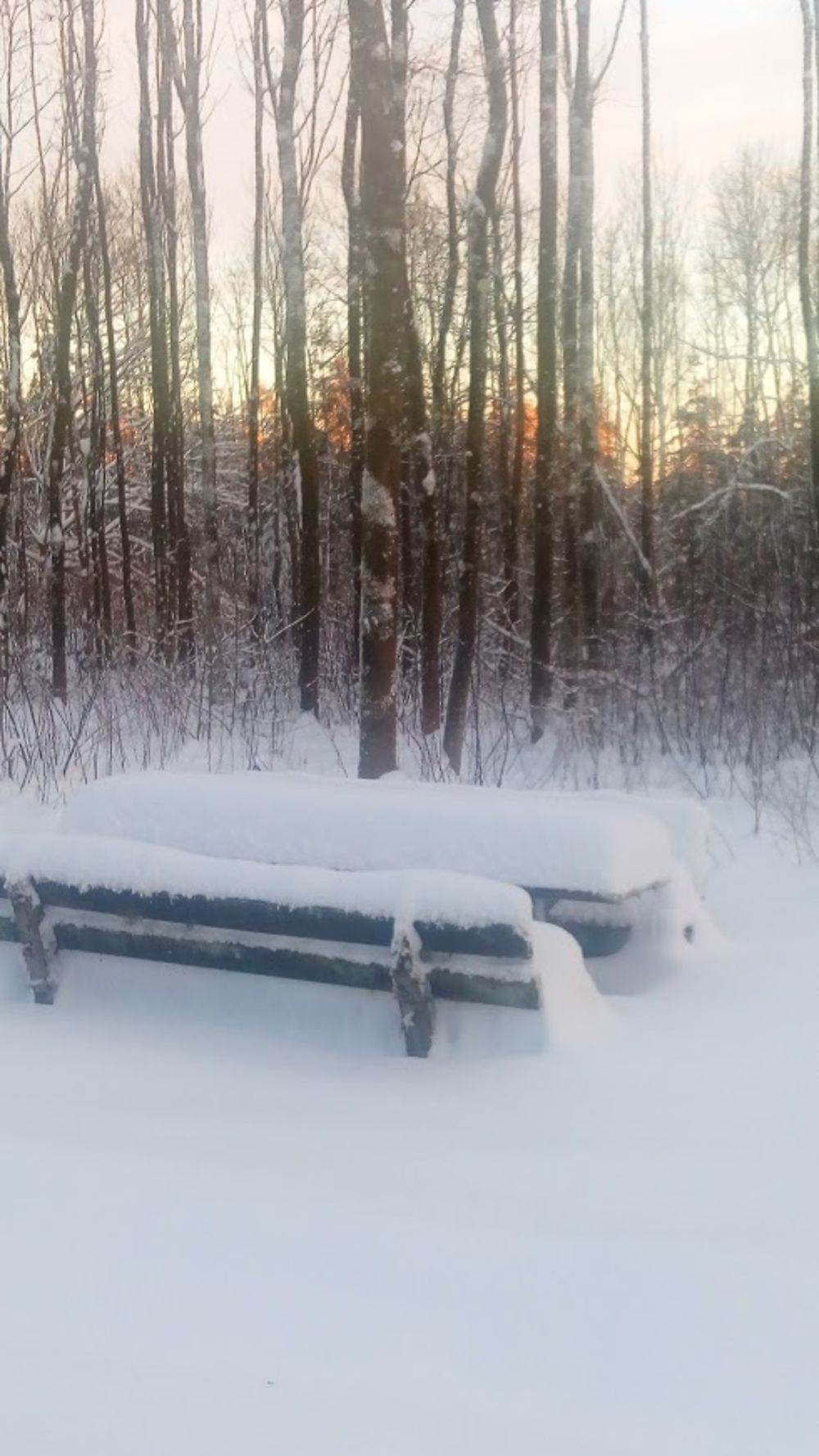 Le déjeuner en plein air va être un peu froid !